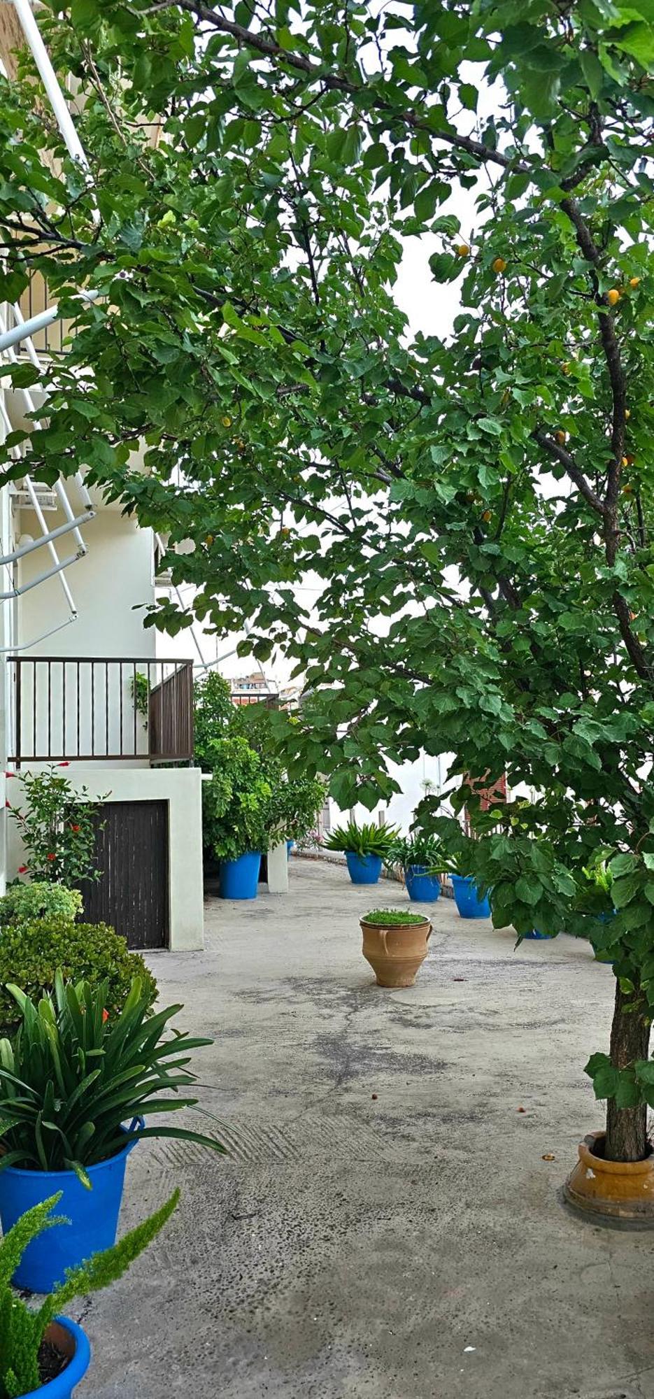Pension Dimitra Вотси Экстерьер фото